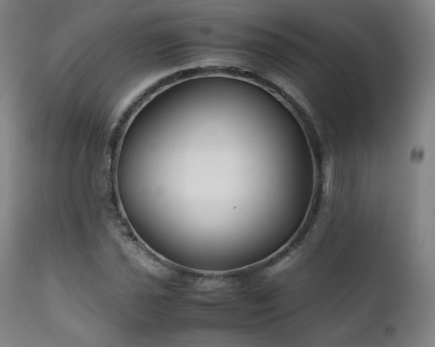 X0000111211021200907011438