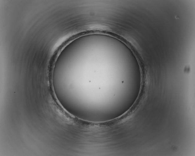 X0000111211022200907011438