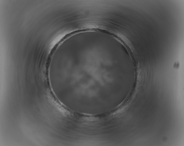 X0000111211023200907011438