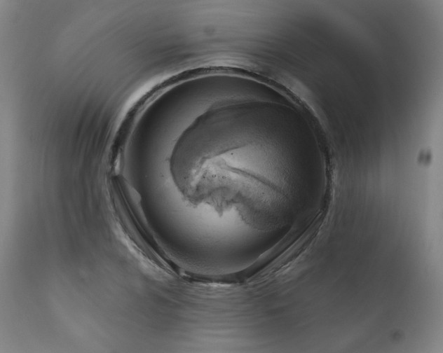 X0000111211024200907011438