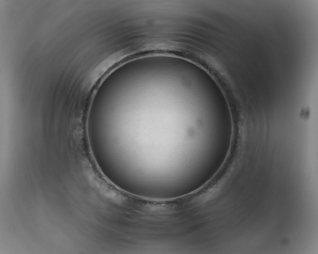 X0000111211025200907011438