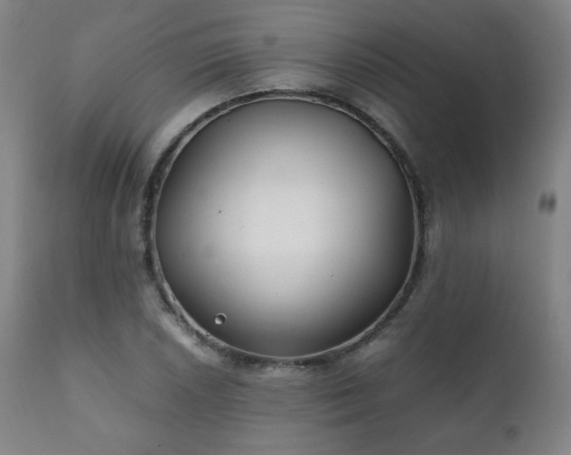 X0000111211026200907011438