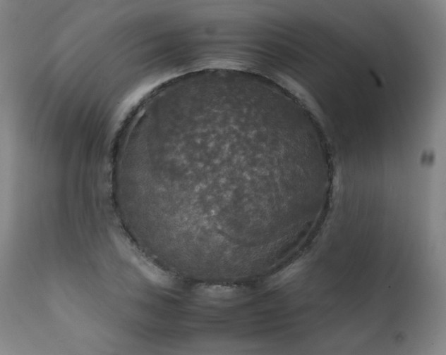 X0000111211027200907011438