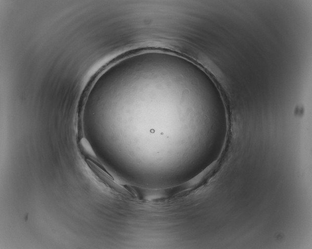 X0000111211028200907011438