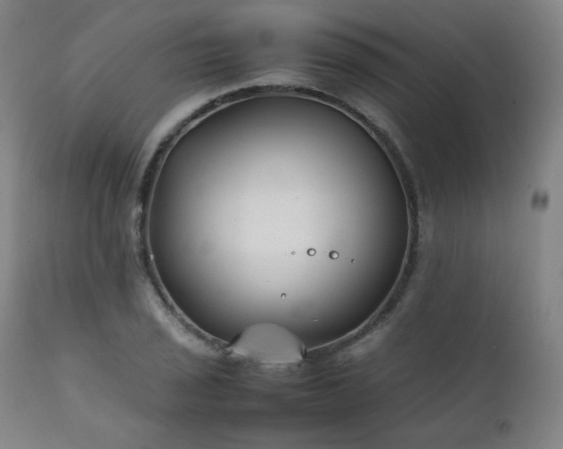 X0000111211029200907011438