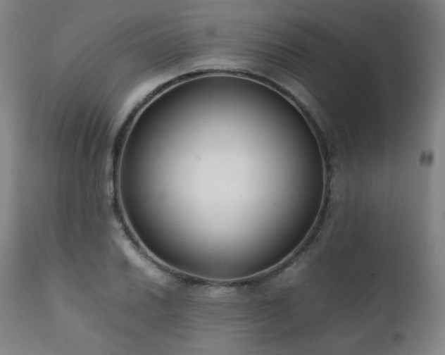 X0000111211030200907011438