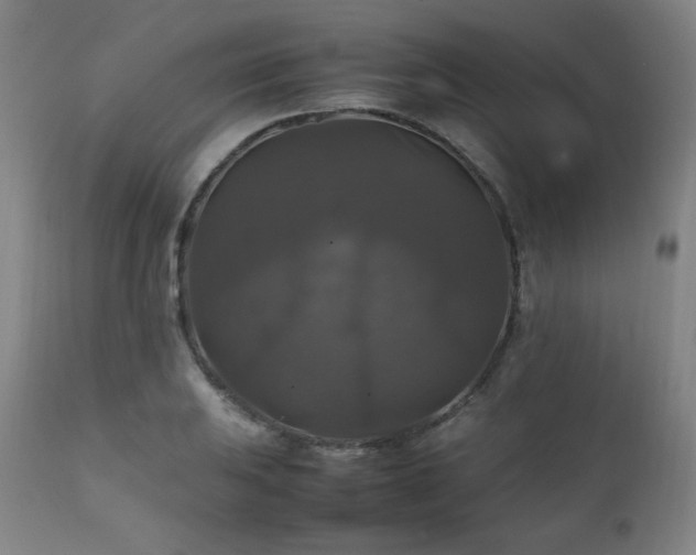 X0000111211031200907011438