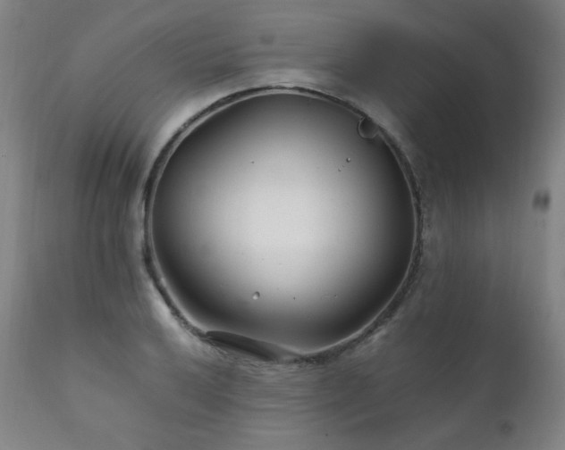 X0000111211032200907011438