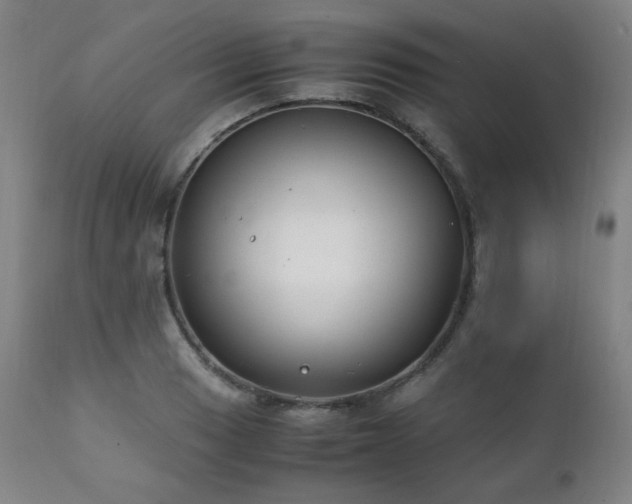 X0000111211033200907011438