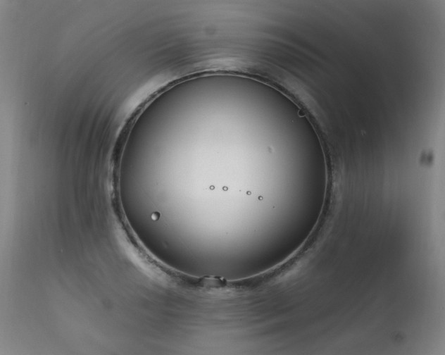 X0000111211034200907011438