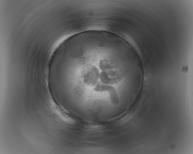 X0000111211035200907011438