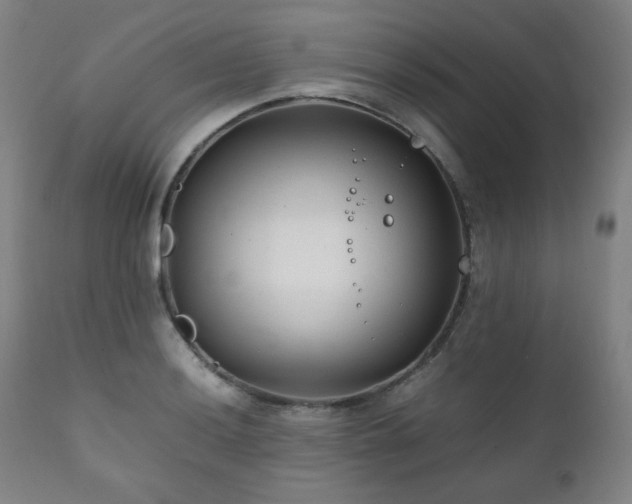 X0000111211036200907011438