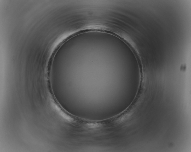 X0000111211037200907011438