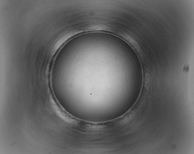 X0000111211039200907011438