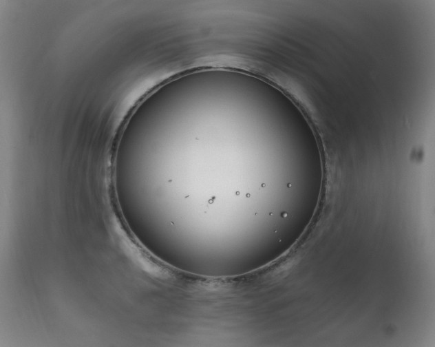 X0000111211040200907011438