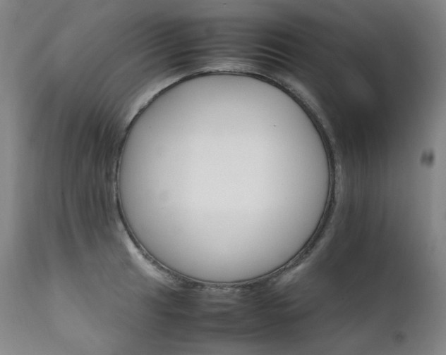 X0000111211041200907011438