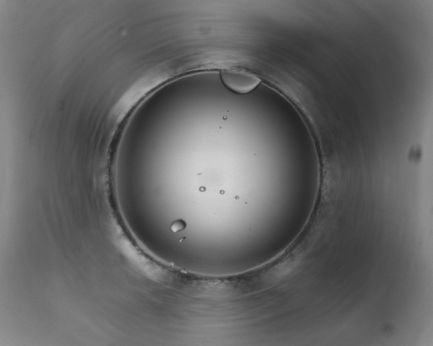 X0000111211042200907011438