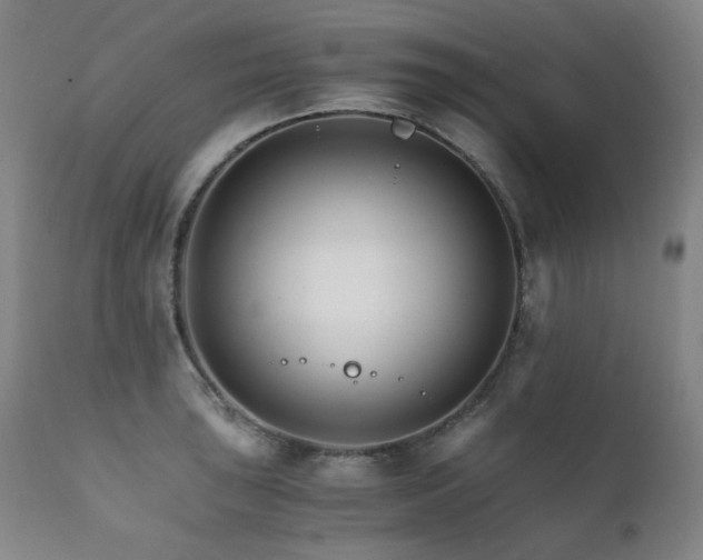 X0000111211043200907011439