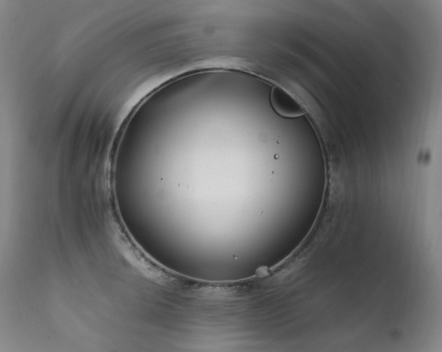 X0000111211044200907011439