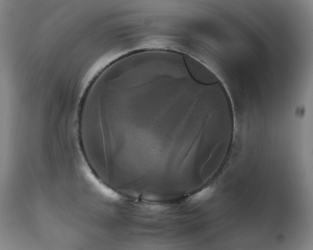 X0000111211045200907011439