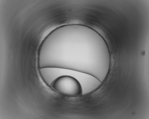 X0000111211047200907011439