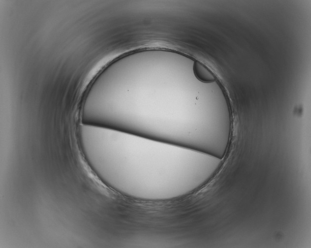 X0000111211048200907011439