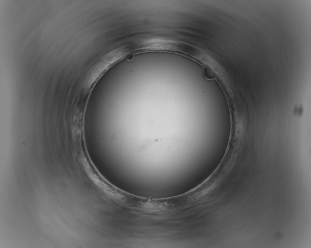 X0000111211049200907011439