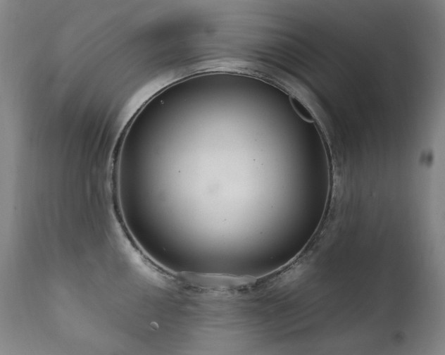 X0000111211050200907011439