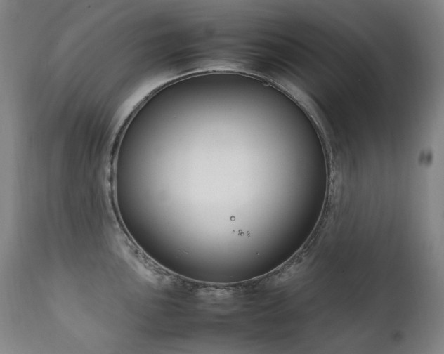 X0000111211051200907011439