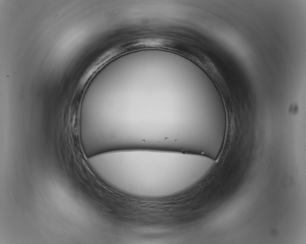 X0000111211052200907011439