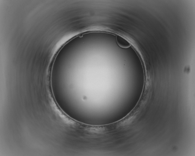 X0000111211053200907011439