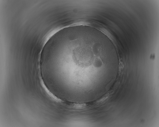 X0000111211055200907011439