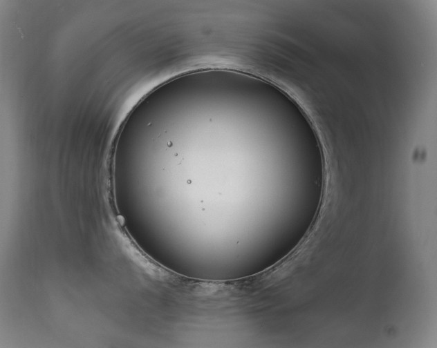 X0000111211056200907011439