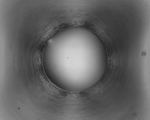 X0000111211058200907011438