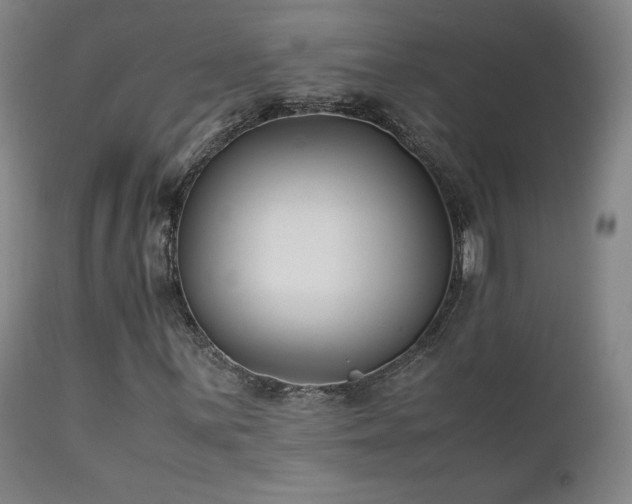 X0000111211059200907011438