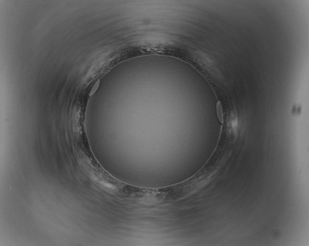 X0000111211060200907011438