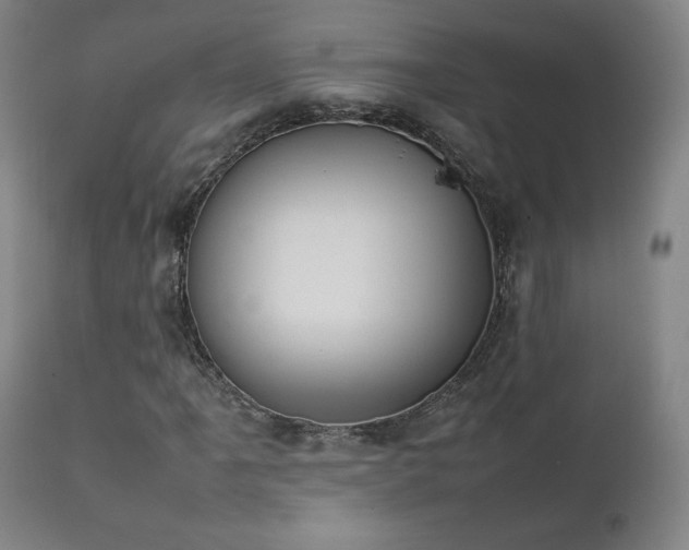 X0000111211061200907011438