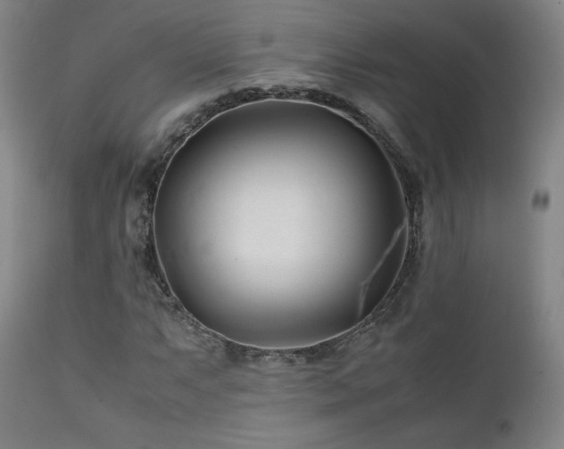 X0000111211063200907011438