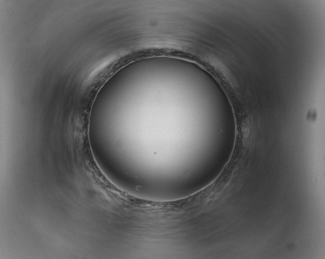 X0000111211064200907011438