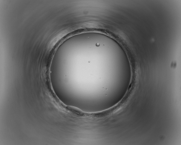 X0000111211065200907011438