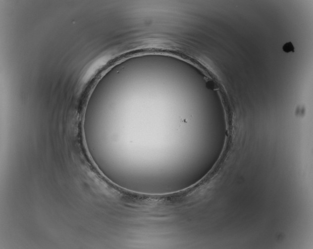 X0000111211067200907011438