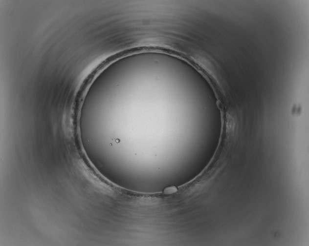 X0000111211068200907011438