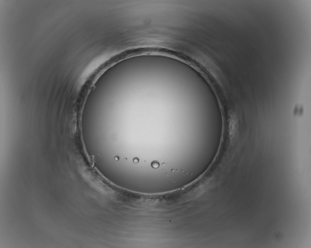 X0000111211069200907011438