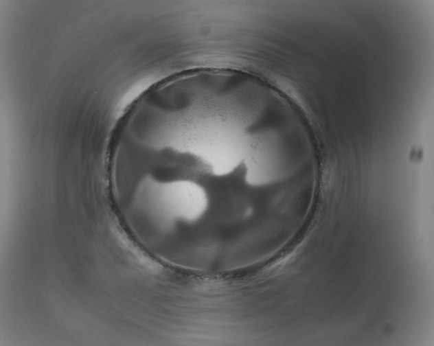 X0000111211071200907011438