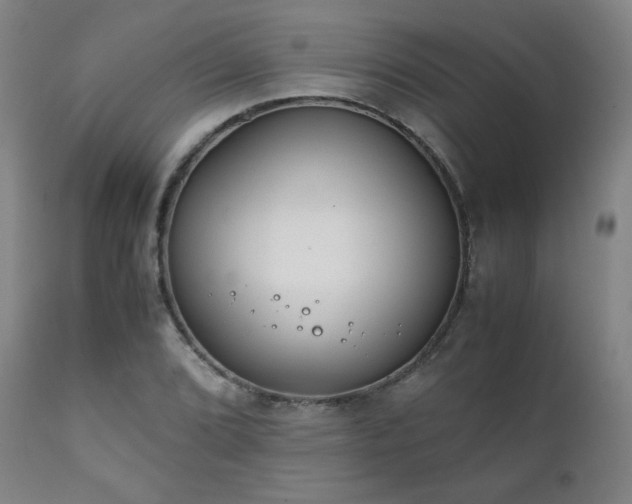 X0000111211072200907011438