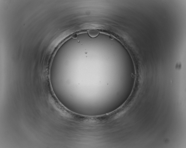 X0000111211073200907011438