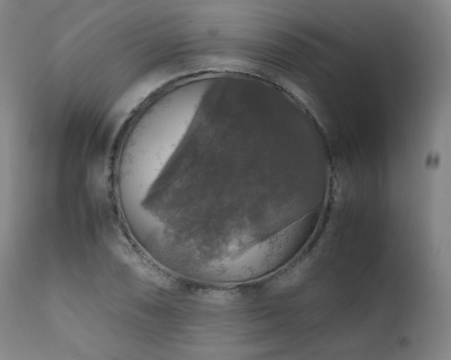 X0000111211074200907011438