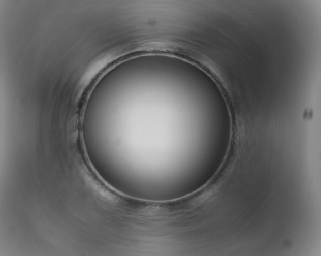 X0000111211075200907011438