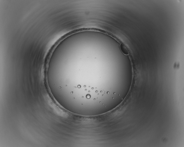 X0000111211076200907011438