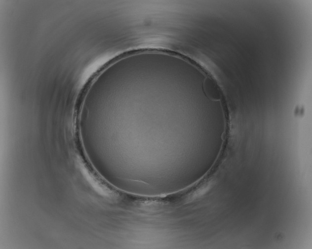 X0000111211077200907011438